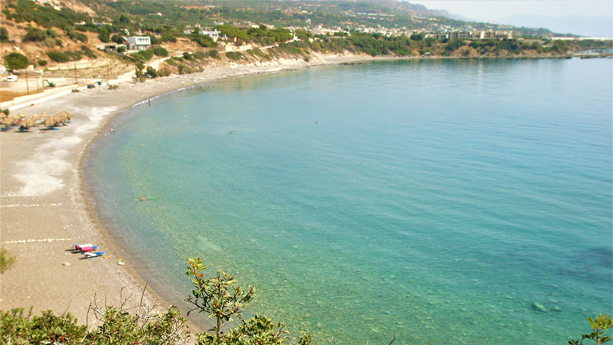 Avra Palm - NR